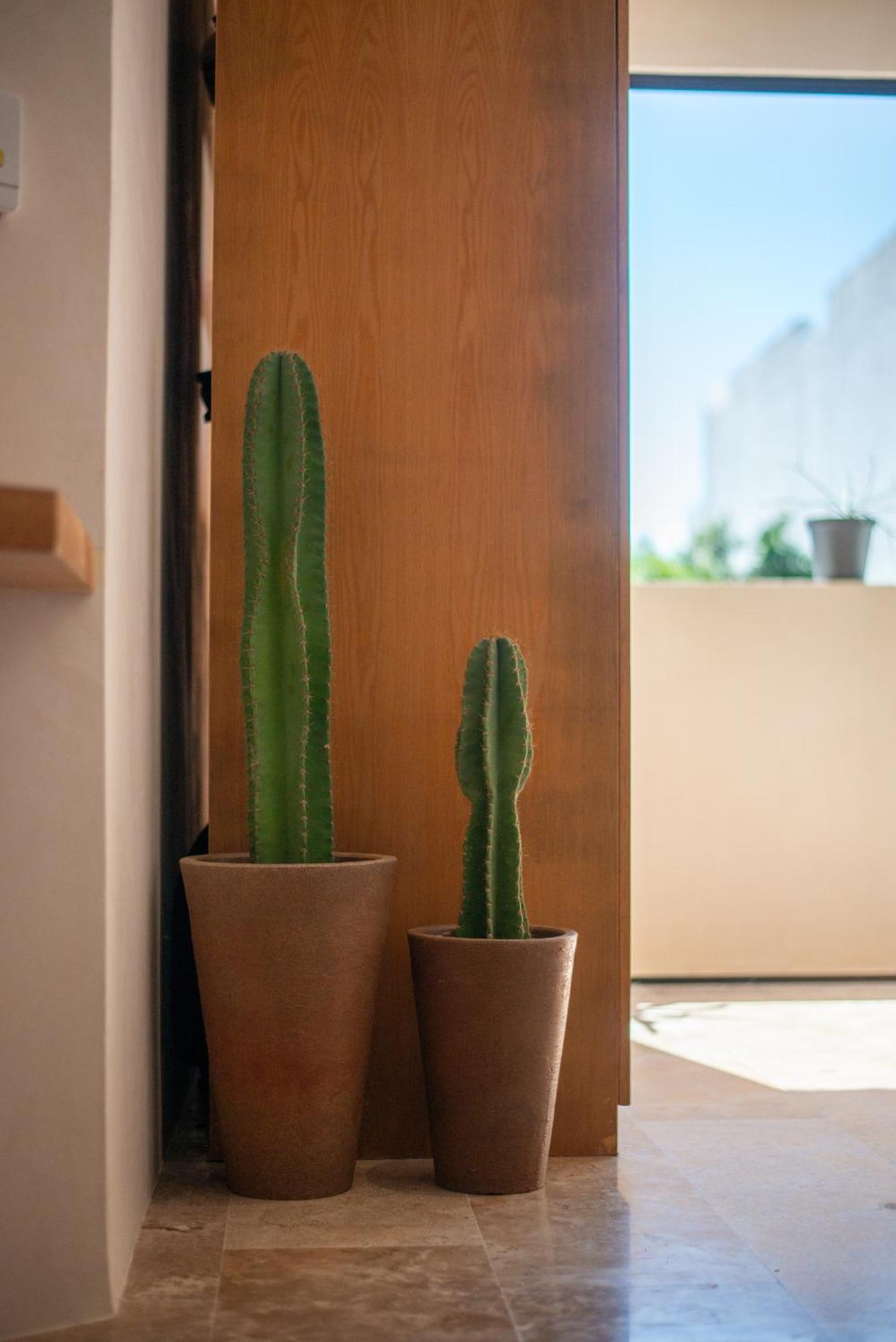 Apartment A Sweet Jungle In Aldea Zama
